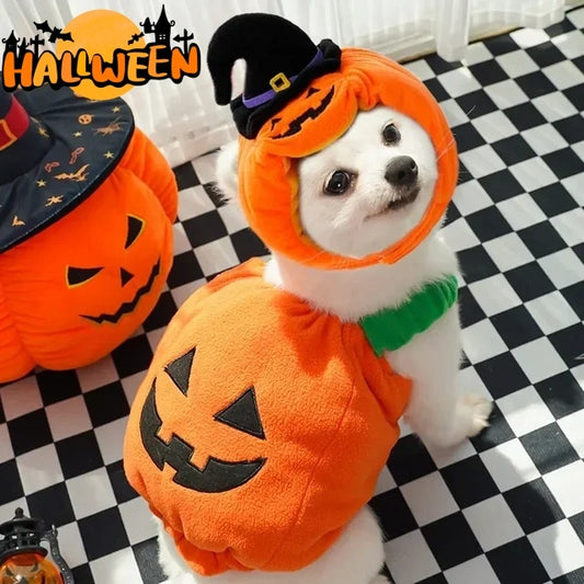 Halloween Pumpkin Vest For Dogs Cats