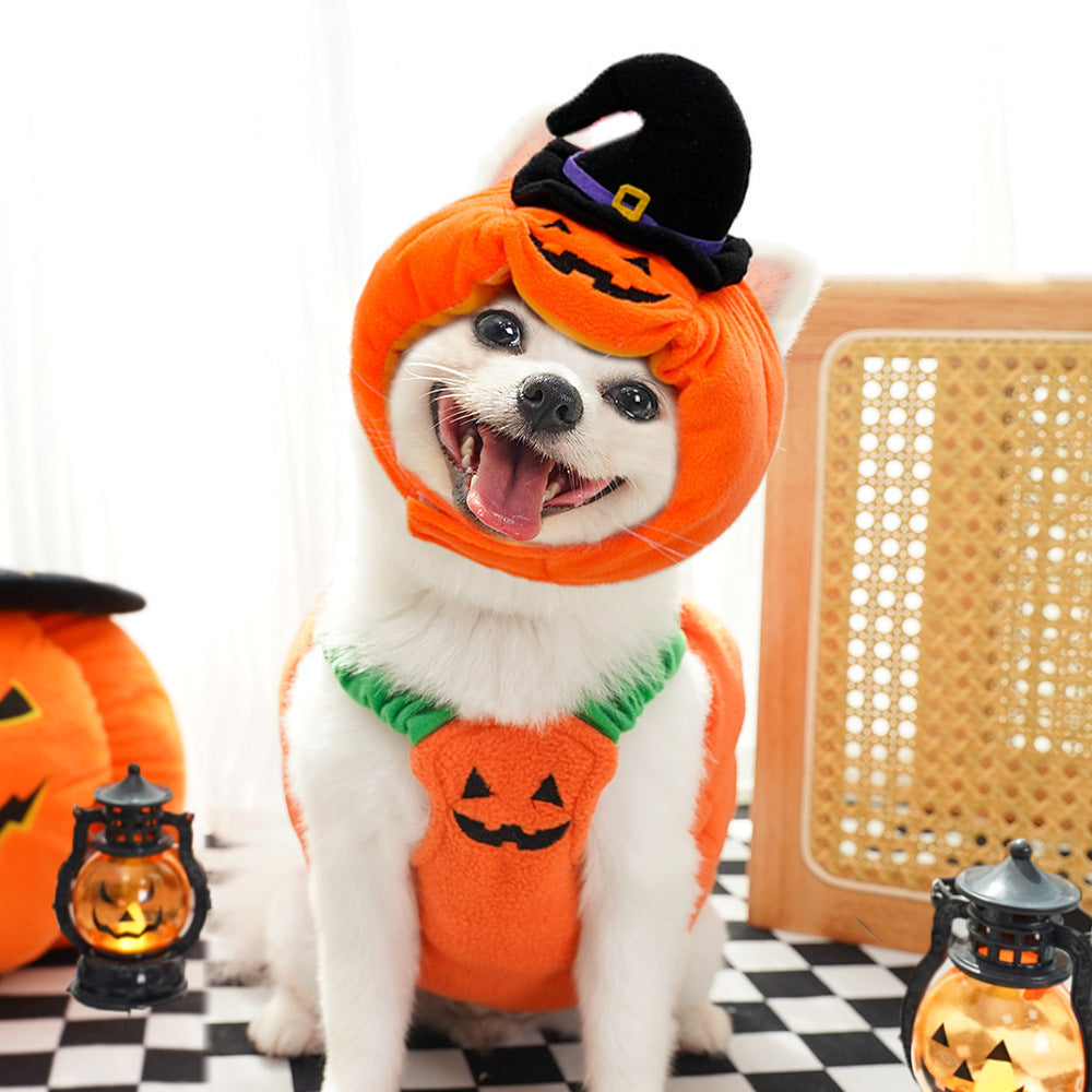 Halloween Pumpkin Vest For Dogs Cats