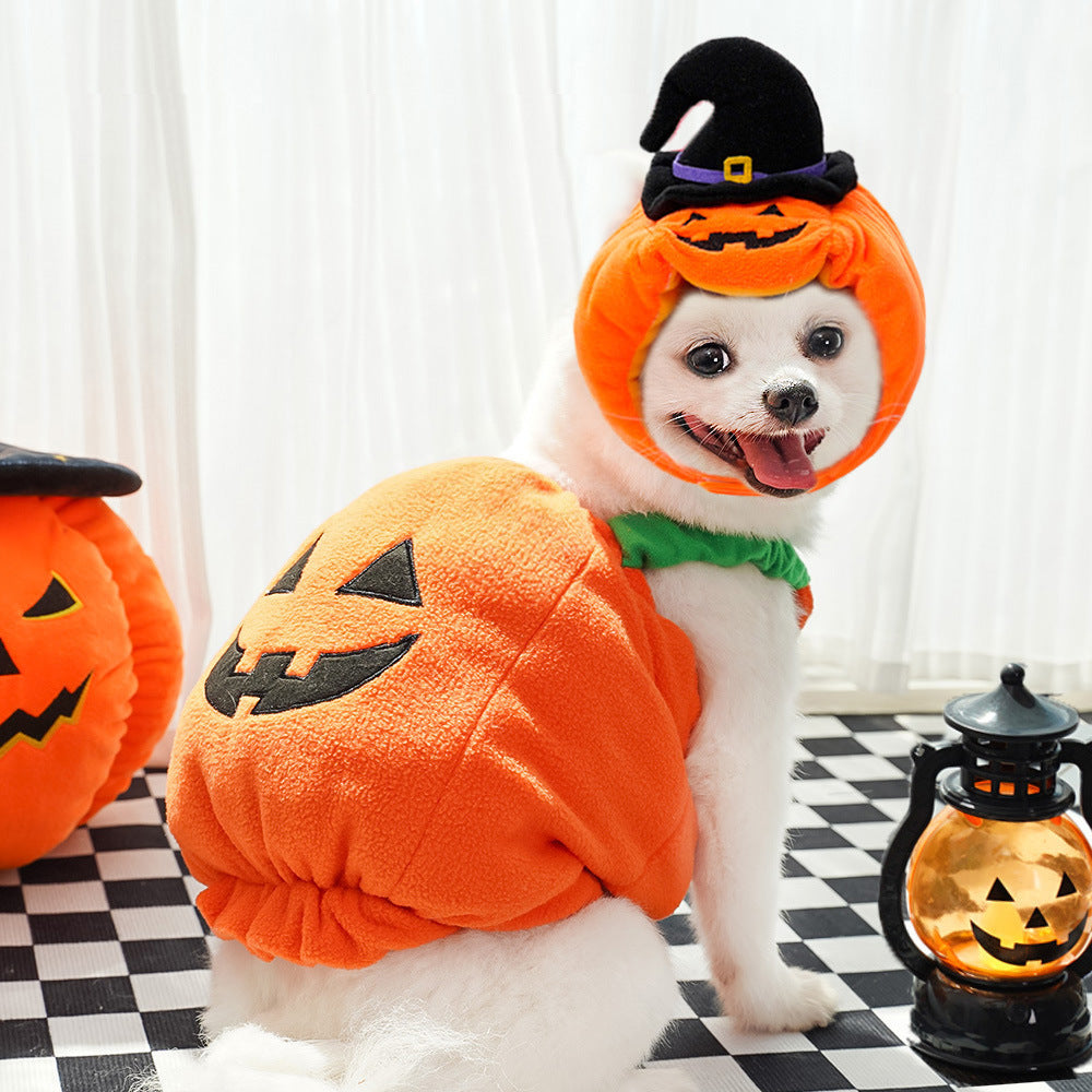 Halloween Pumpkin Vest For Dogs Cats