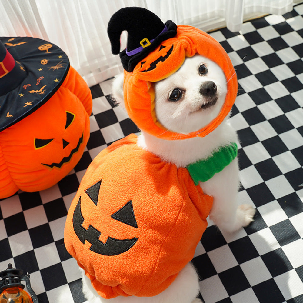 Halloween Pumpkin Vest For Dogs Cats